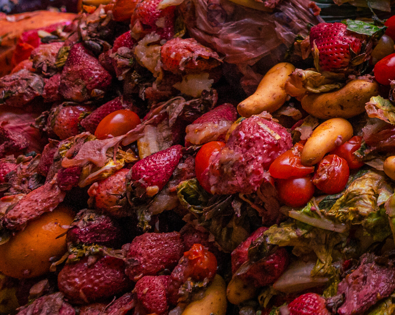 organic compost services for businesses